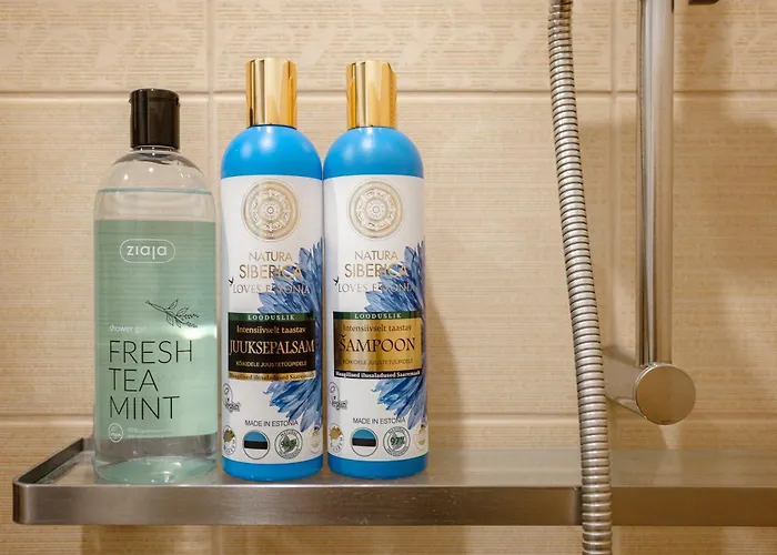 Historic At Center Apartment Tallinn